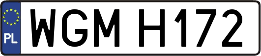 WGMH172