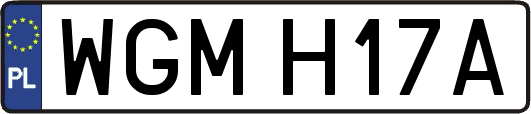WGMH17A