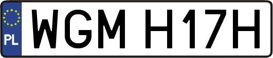 WGMH17H