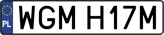 WGMH17M