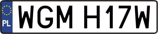 WGMH17W