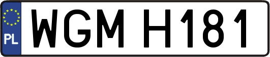 WGMH181