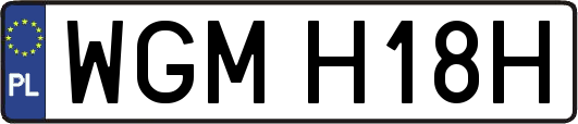WGMH18H