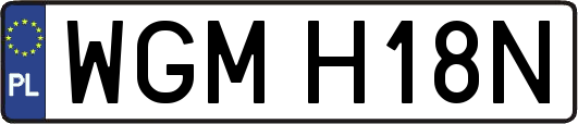 WGMH18N