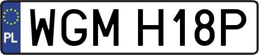 WGMH18P