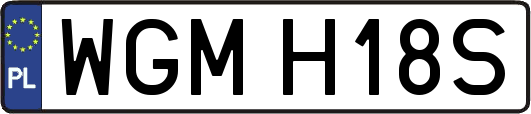 WGMH18S