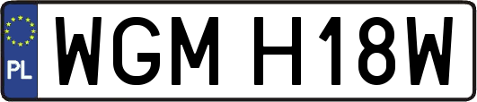 WGMH18W