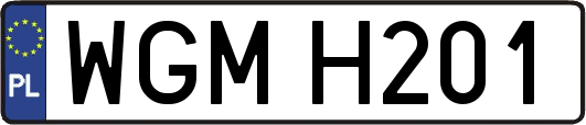 WGMH201