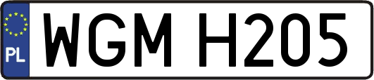 WGMH205