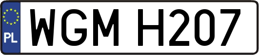WGMH207