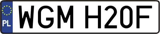 WGMH20F