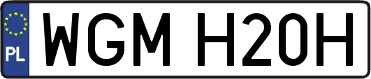 WGMH20H