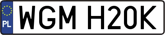 WGMH20K