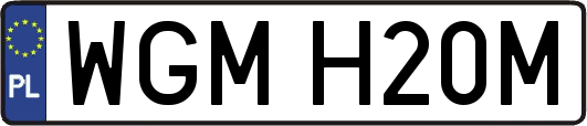 WGMH20M