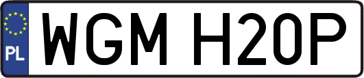WGMH20P