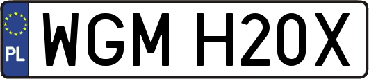 WGMH20X