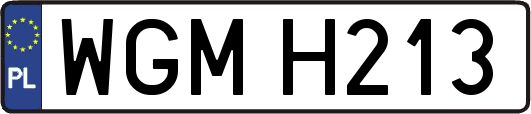 WGMH213