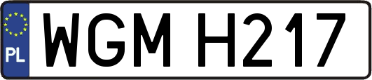 WGMH217