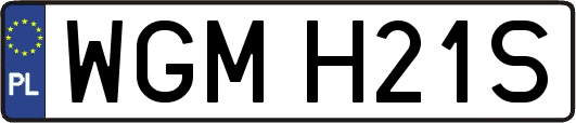 WGMH21S