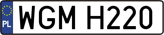 WGMH220
