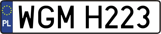 WGMH223