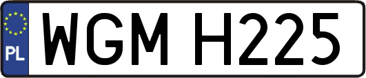 WGMH225
