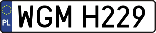 WGMH229
