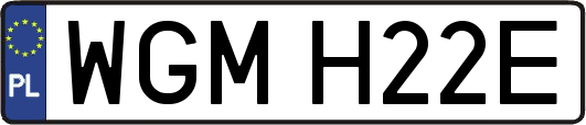 WGMH22E