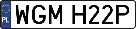 WGMH22P