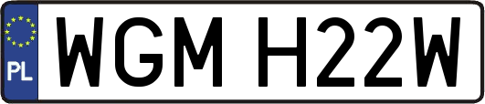 WGMH22W