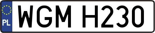 WGMH230