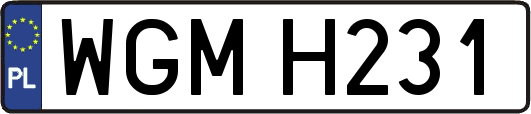 WGMH231