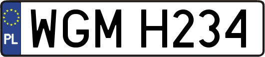 WGMH234