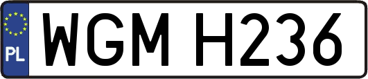 WGMH236
