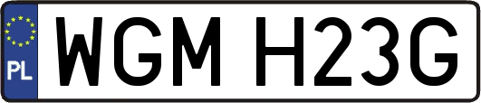 WGMH23G