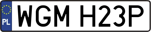 WGMH23P