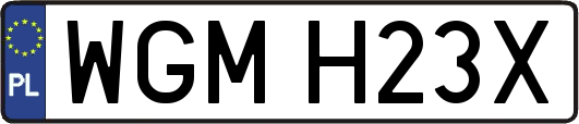 WGMH23X