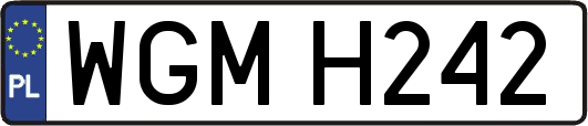 WGMH242