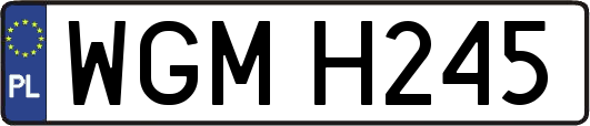 WGMH245