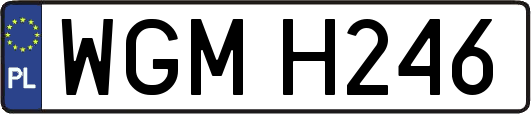 WGMH246