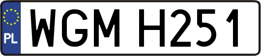 WGMH251