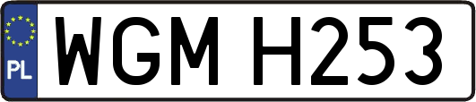 WGMH253