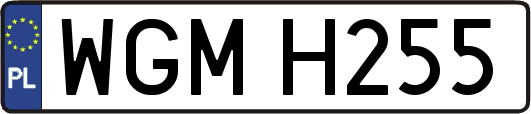 WGMH255
