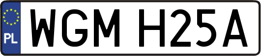 WGMH25A