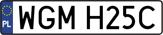 WGMH25C