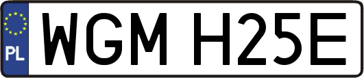 WGMH25E
