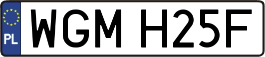 WGMH25F