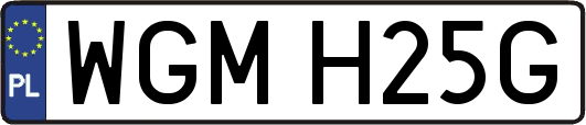 WGMH25G