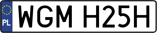 WGMH25H