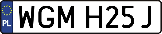 WGMH25J